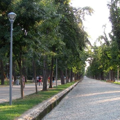 Parcul Central Simion Bărnuțiu