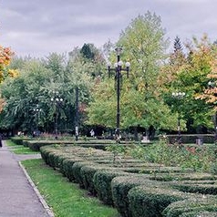  Parcul Nicolae Titulescu