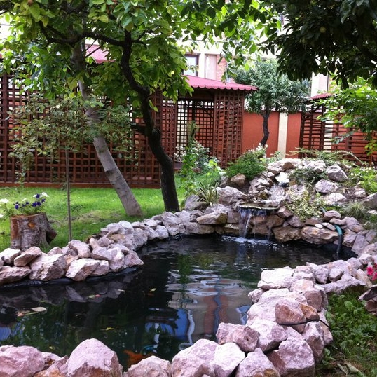 Imagini Restaurant Casa Noblesse