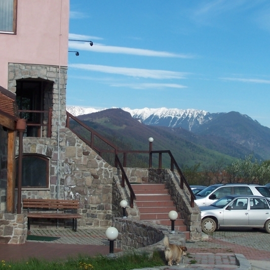 Imagini Restaurant Sofia