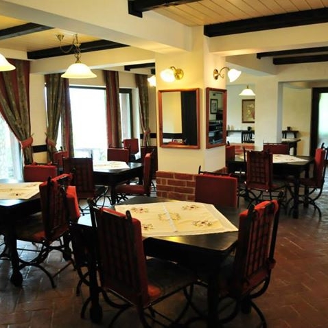 Imagini Restaurant Bradul Inalt