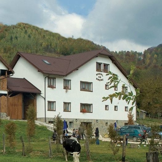 Imagini Restaurant Hanul Cu Noroc