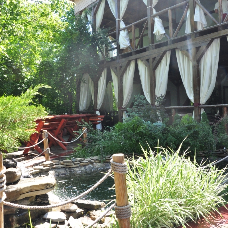 Imagini Restaurant Casa Nașului