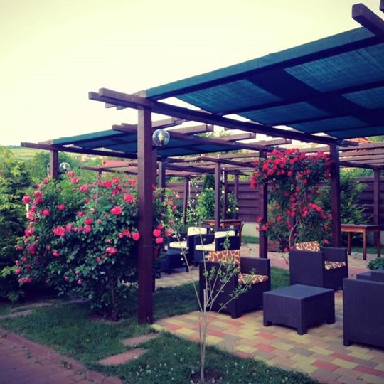 Imagini Restaurant Novis