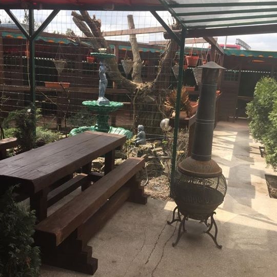 Imagini Restaurant Villa Borghese