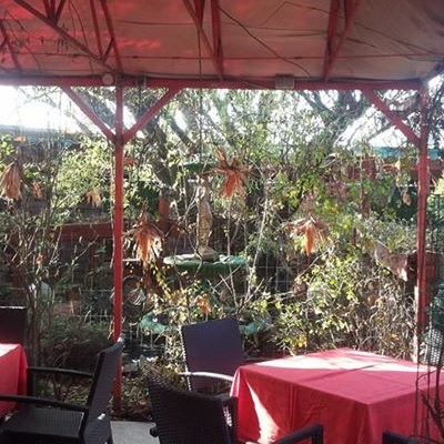 Restaurant Villa Borghese foto 2