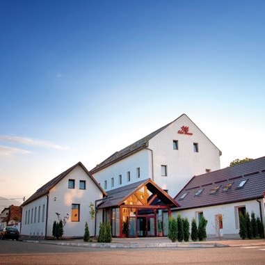 Imagini Restaurant Edel House