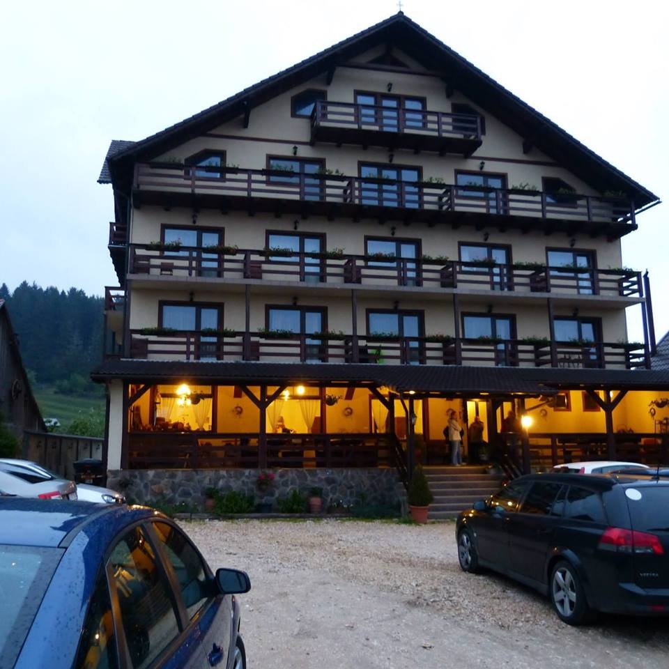 Imagini Restaurant Hora cu Brazi