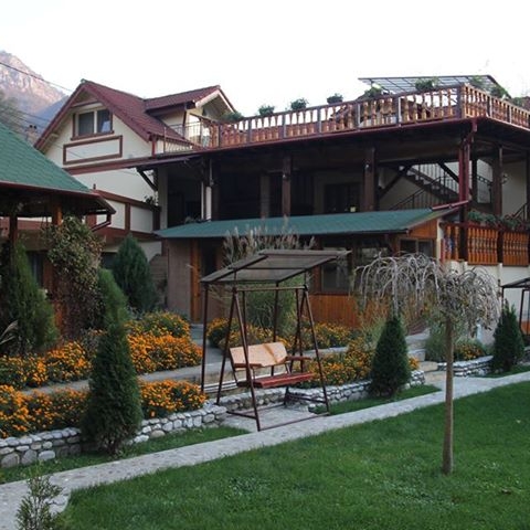 Imagini Restaurant Cuibul Viselor