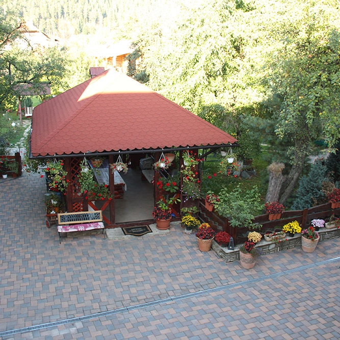 Imagini Restaurant Iris