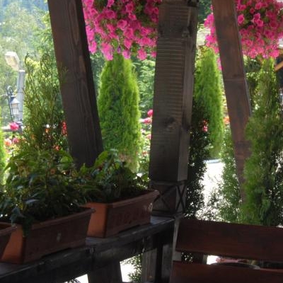 Restaurant Popasul Domnesc