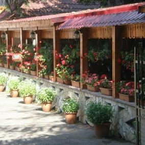 Restaurant Caprioara foto 1