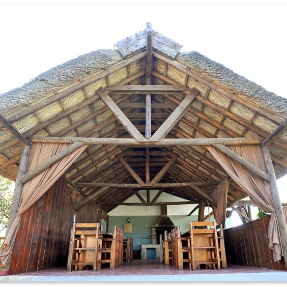 Imagini Restaurant Castalia