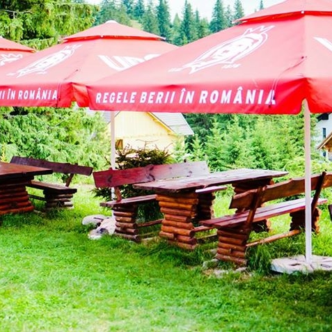 Imagini Restaurant Romantic