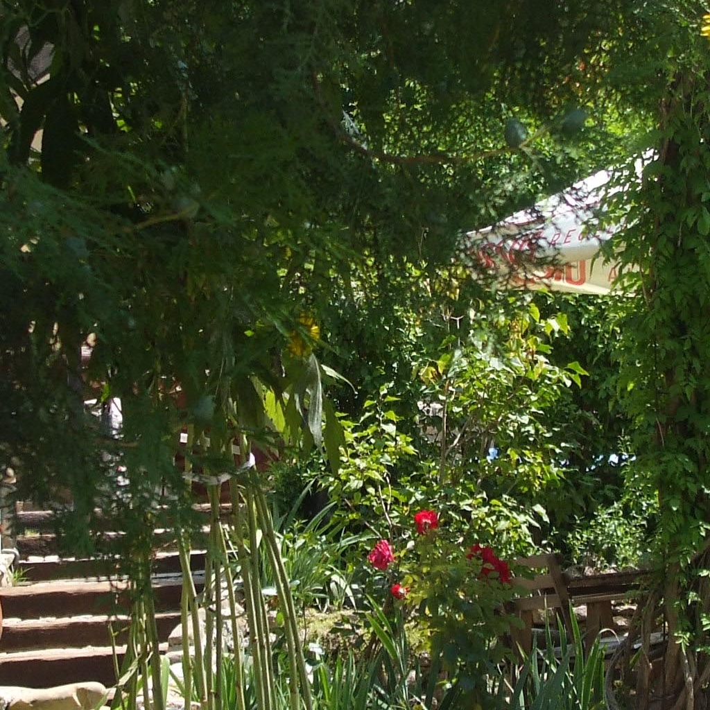 Imagini Restaurant Tara Luanei