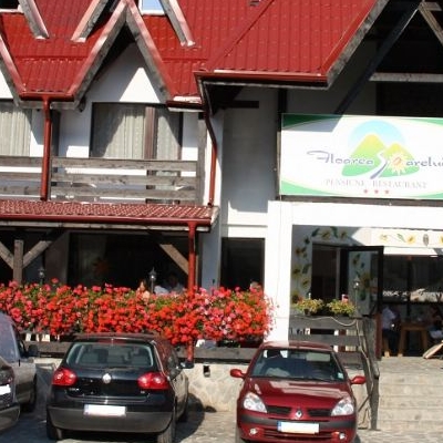 Restaurant Floarea Soarelui foto 1