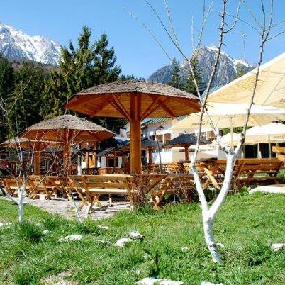 Imagini Restaurant Gura Diham