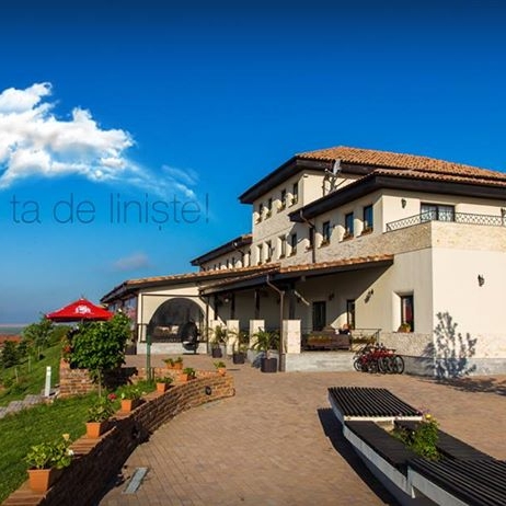 Imagini Restaurant Domeniul Greaca