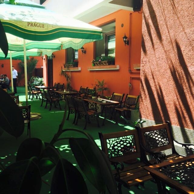 Imagini Restaurant Provence Iancului