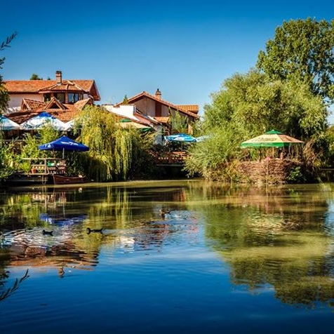 Imagini Restaurant Fish4Life