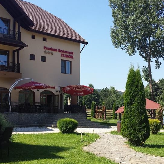 Imagini Restaurant Tudor