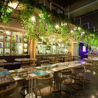 Imagini Restaurant Chefs Experience