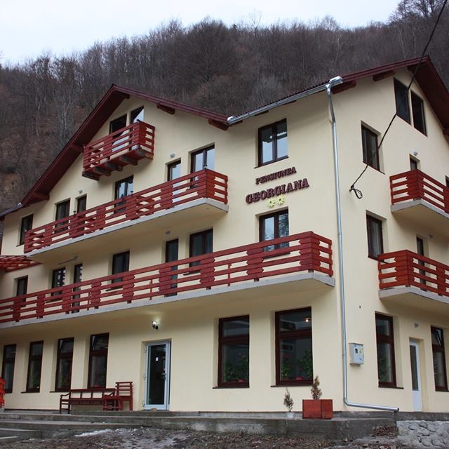 Imagini Restaurant Georgiana