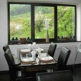 Restaurant Transylvanian Inn