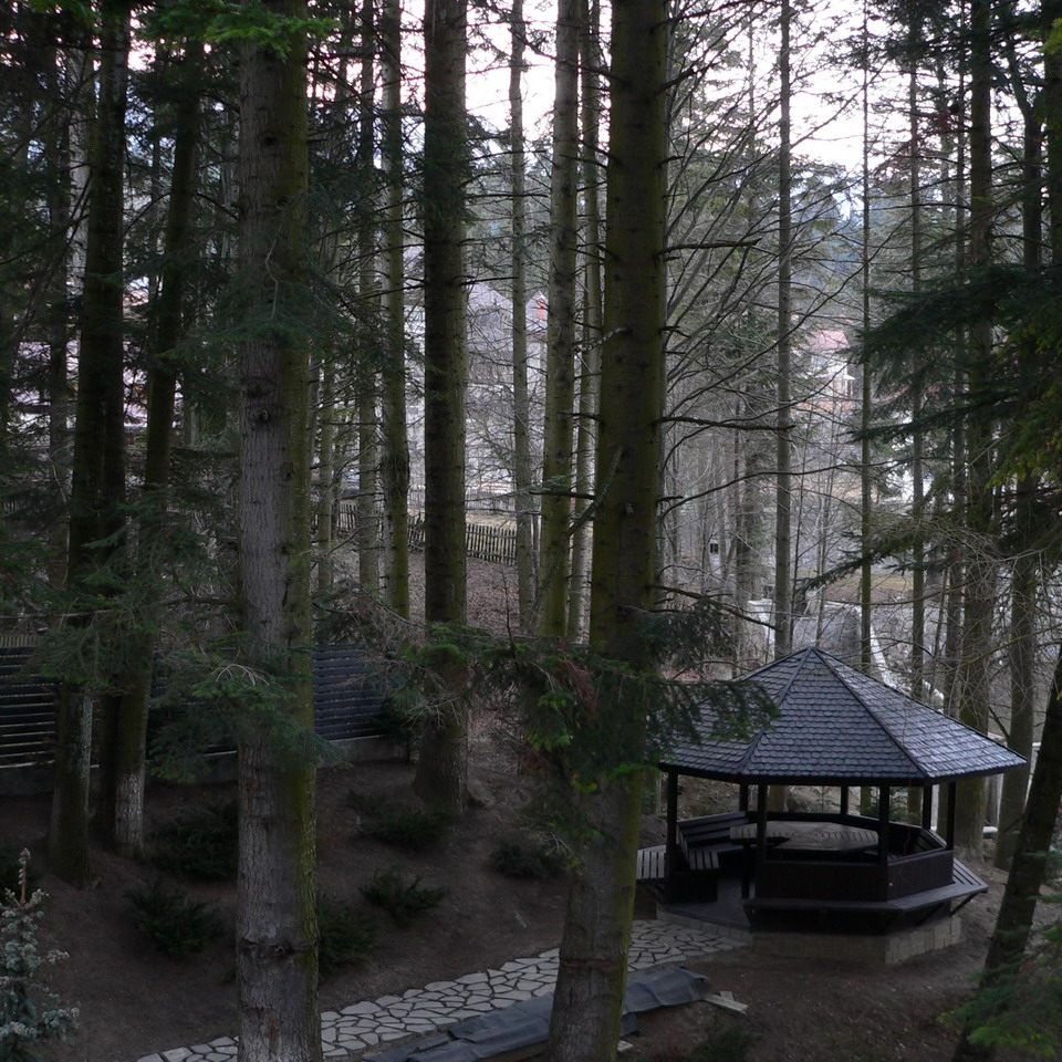 Imagini Restaurant La Cascade