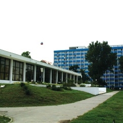 Imagini Restaurant Doina