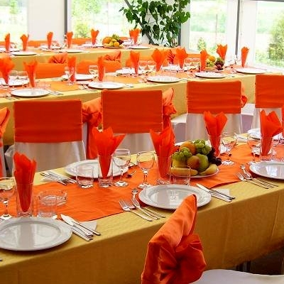 Restaurant Vila Cionca