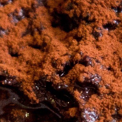 Restaurant Unico Vero