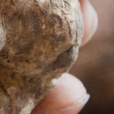 Restaurant Unico Vero