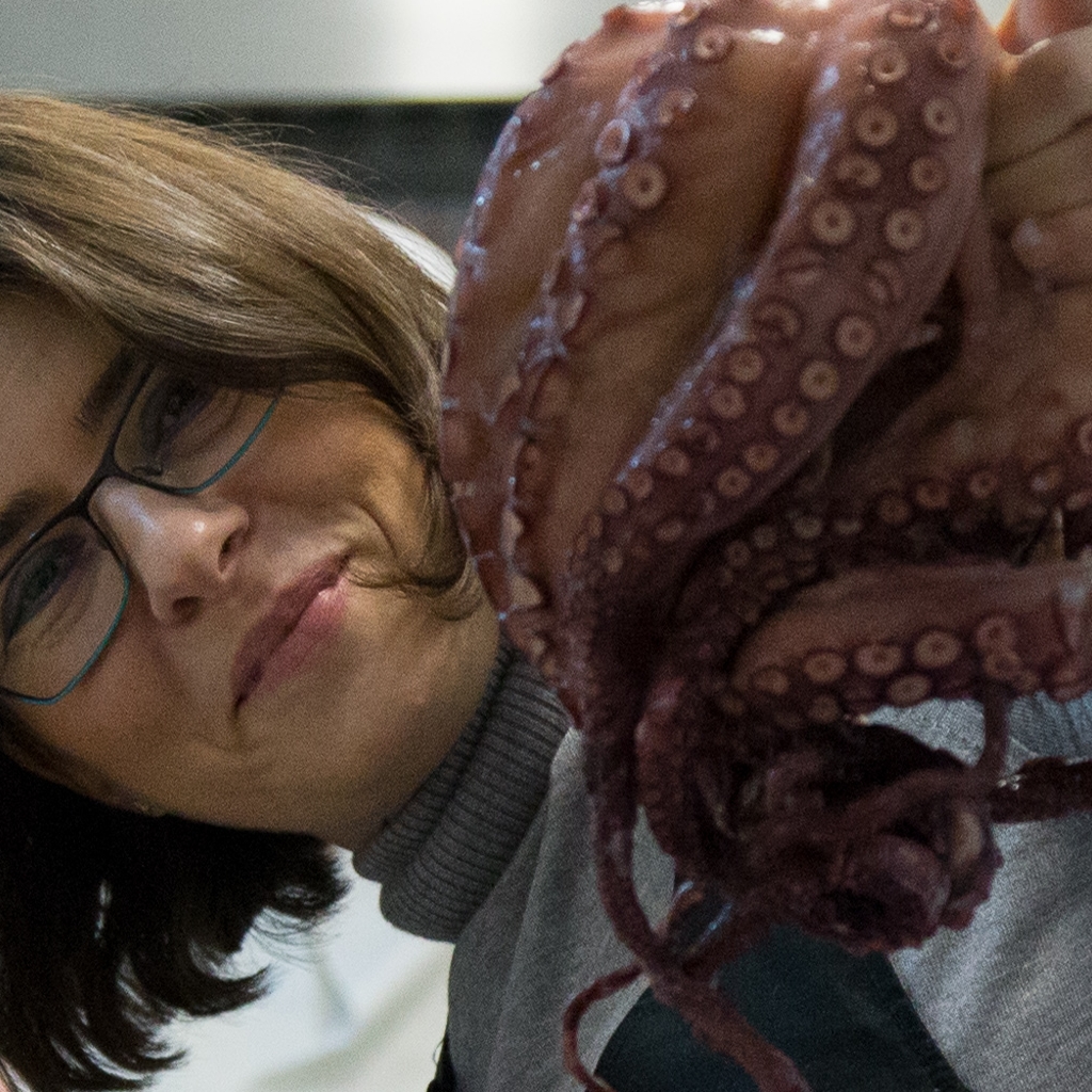 Imagini Restaurant Unico Vero