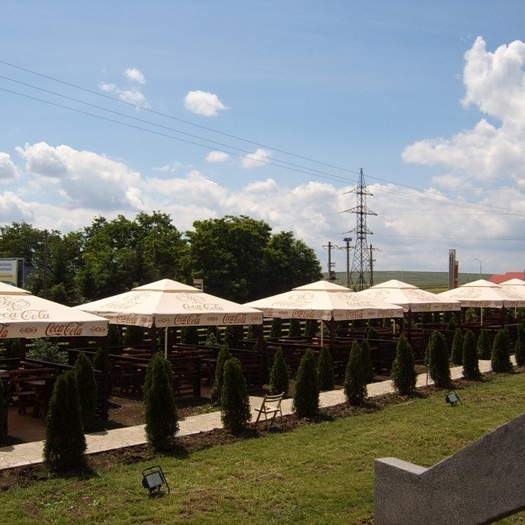 Imagini Restaurant Ambiance