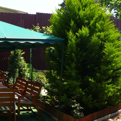 Restaurant Roxy & Maryo foto 1