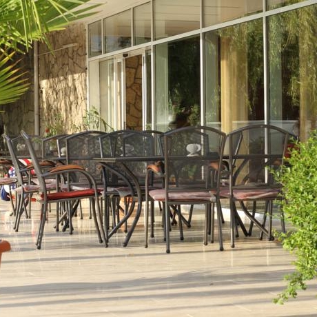 Imagini Restaurant Scoica