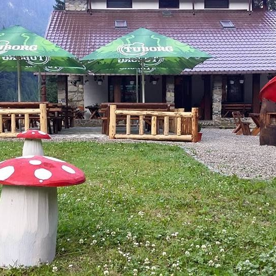 Imagini Restaurant Conacul Ursului