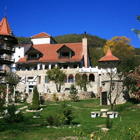 Imagini Restaurant Castelul Lupilor