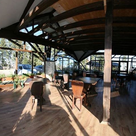 Imagini Restaurant Andreea