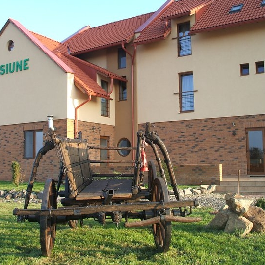 Imagini Restaurant Casa Celia