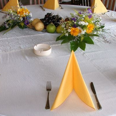 Restaurant Conacul Dintre Vii foto 2