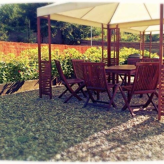 Imagini Restaurant Conacul Dintre Vii