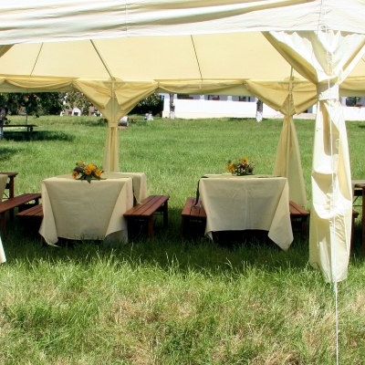 Restaurant Conacul Dintre Vii