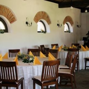 Restaurant Conacul Dintre Vii foto 0