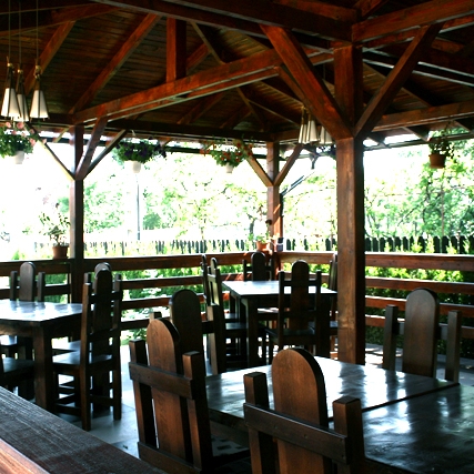 Imagini Restaurant Casa David