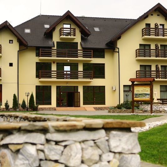 Imagini Restaurant Decorale