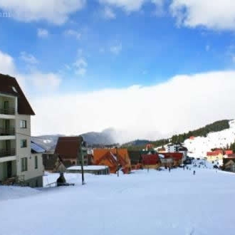 Imagini Restaurant Terra