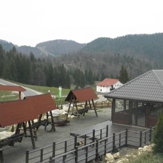 Imagini Restaurant Nedeea