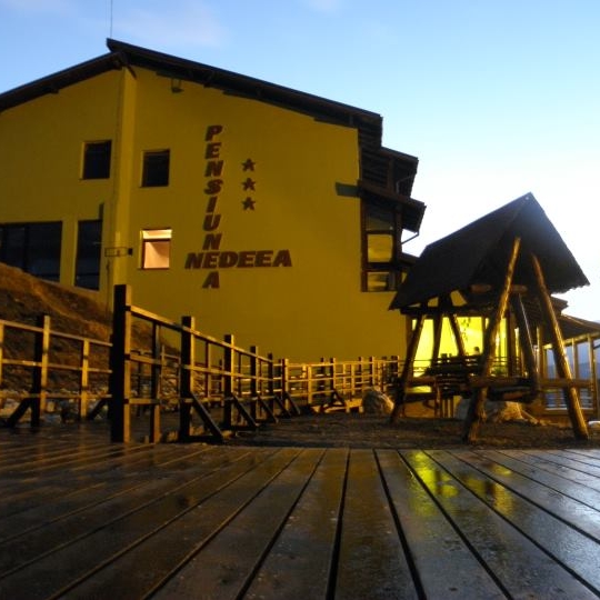 Imagini Restaurant Nedeea